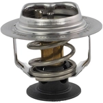 Order MOTORCRAFT - RT1258 - Thermostat For Your Vehicle
