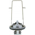 Order 195f/91c Thermostat by MOTORAD - 211-195 For Your Vehicle