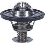 Order 195f/91c Thermostat by MOTORAD - 5265-195 For Your Vehicle