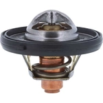 Order 195f/91c Thermostat by MOTORAD - 7420-195 For Your Vehicle