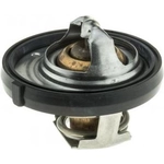 Order 203f/95cThermostat by MOTORAD - 657-203 For Your Vehicle
