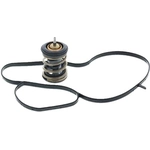 Order 221f Thermostat by MOTORAD - 973221 For Your Vehicle