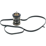 Order 221f Thermostat by MOTORAD - 973221 For Your Vehicle
