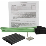 Order MOTORCRAFT - WPT971 - Parking, Turn Signal & Stop Light Connector For Your Vehicle
