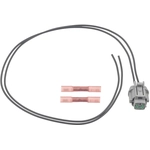 Order BLUE STREAK (HYGRADE MOTOR) - S2905 - Electrical Connector For Your Vehicle