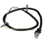 Order DORMAN - 970-009 - ABS Wheel Speed Sensor Wiring Harness For Your Vehicle