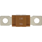 Order Accessory Fuse by BUSSMANN - AMG150 For Your Vehicle