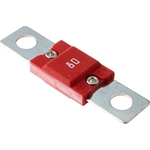 Order BUSSMANN - AMG80 - AMG High Amp Fuse (Pack of 10) For Your Vehicle
