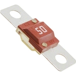 Order Accessory Fuse by BUSSMANN - AMI150B For Your Vehicle