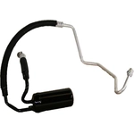 Order Accumulator And Hose Assembly by GLOBAL PARTS DISTRIBUTORS - 4811359 For Your Vehicle