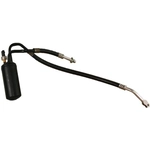 Order Accumulator And Hose Assembly by GLOBAL PARTS DISTRIBUTORS - 4811360 For Your Vehicle