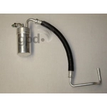 Order Accumulator And Hose Assembly by GLOBAL PARTS DISTRIBUTORS - 4811368 For Your Vehicle