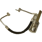 Order Accumulator And Hose Assembly by GLOBAL PARTS DISTRIBUTORS - 4811595 For Your Vehicle