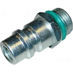 Order Adapter Or Fitting by GLOBAL PARTS DISTRIBUTORS - 5811348 For Your Vehicle