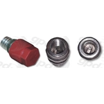 Order Adapter Or Fitting by GLOBAL PARTS DISTRIBUTORS - 5811696 For Your Vehicle