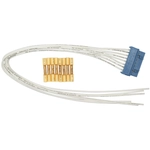 Order BLUE STREAK (HYGRADE MOTOR) - S1766 - Window Switch Connector For Your Vehicle