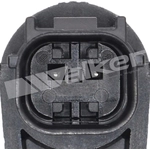 Order Air Charged Temperature Sensor by WALKER PRODUCTS - 210-1141 For Your Vehicle