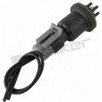Order Air Charged Temperature Sensor by WALKER PRODUCTS - 210-91006 For Your Vehicle