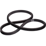 Order DAYCO - 17525 - High Performance V-Belt For Your Vehicle