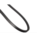 Order CONTINENTAL - 17645 - Accessory Drive Belt - Automotive V-Belt For Your Vehicle