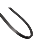Order CONTINENTAL - 13621 - Accessory Drive Belt - Automotive V-Belt For Your Vehicle