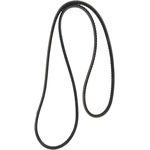 Order CONTINENTAL - 15595 - Accessory Drive Belt - Automotive V- Belt For Your Vehicle