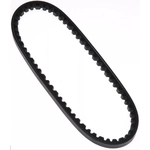 Order ROAD MAX - 15573AP - High Capacity V-Belt For Your Vehicle