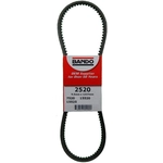 Order BANDO USA - 2520 - Serpentine Belt For Your Vehicle
