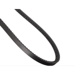 Order CONTINENTAL - 15545 - Accessory Drive Belt - Automotive V-Belt For Your Vehicle