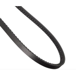 Order CONTINENTAL - 15606 - Accessory Drive Belt - Automotive V- Belt For Your Vehicle
