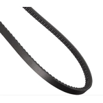 Order CONTINENTAL - 17555 - Accessory Drive Belt - Automotive V- Belt For Your Vehicle