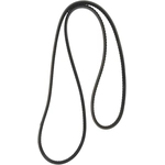 Order CONTINENTAL - 15371 - Accessory Drive Belt - Automotive V- Belt For Your Vehicle