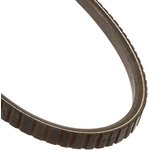 Order Air Conditioning And Power Steering Belt by DAYCO - 17605 For Your Vehicle