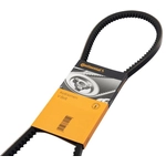 Order CONTINENTAL - 13X950 - V-Belt For Your Vehicle