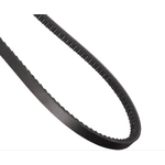 Order CONTINENTAL - 17321 - Accessory Drive Belt - Automotive V- Belt For Your Vehicle
