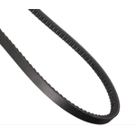 Order CONTINENTAL - 17425 - Accessory Drive Belt - Automotive V- Belt For Your Vehicle