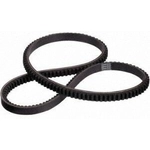 Order DAYCO - 17585 - Air Conditioning Compressor Belt For Your Vehicle