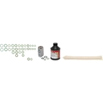 Order Ensemble de remplacement de compresseur de climatisation de FOUR SEASONS - 10262SK For Your Vehicle