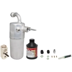 Order FOUR SEASONS - 10696SK - A/C Accumulator Kit For Your Vehicle