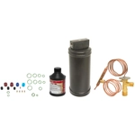 Order FOUR SEASONS - 20002SK - A/C Compressor Service Kit For Your Vehicle