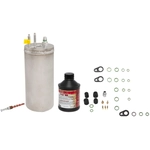 Order FOUR SEASONS - 20224SK - A/C Accumulator Kit For Your Vehicle