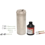 Order Air Conditioning Compressor Replacement Service Kit by FOUR SEASONS - 20276SK For Your Vehicle