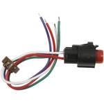 Order BWD AUTOMOTIVE - PT5736 - Power Steering Pressure Switch Connector For Your Vehicle