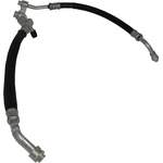 Order GLOBAL PARTS DISTRIBUTORS - 4813054 - Hose Manifold Line For Your Vehicle