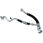 Order GLOBAL PARTS DISTRIBUTORS - 4813113 - A/C Refrigerant Hose For Your Vehicle