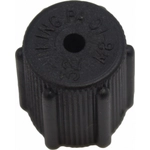 Order MOTORCRAFT - YF2122 - Low Side A/C Service Valve Cap Assembly For Your Vehicle