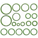 Order Air Conditioning Seal Repair Kit by FOUR SEASONS - 26841 For Your Vehicle