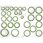 Order Air Conditioning Seal Repair Kit by GLOBAL PARTS DISTRIBUTORS - 1321314 For Your Vehicle