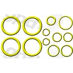 Order Air Conditioning Seal Repair Kit by GLOBAL PARTS DISTRIBUTORS - 1321321 For Your Vehicle