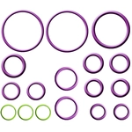 Order GLOBAL PARTS DISTRIBUTORS - 1321357 - Air Conditioning Seal Repair Kit For Your Vehicle